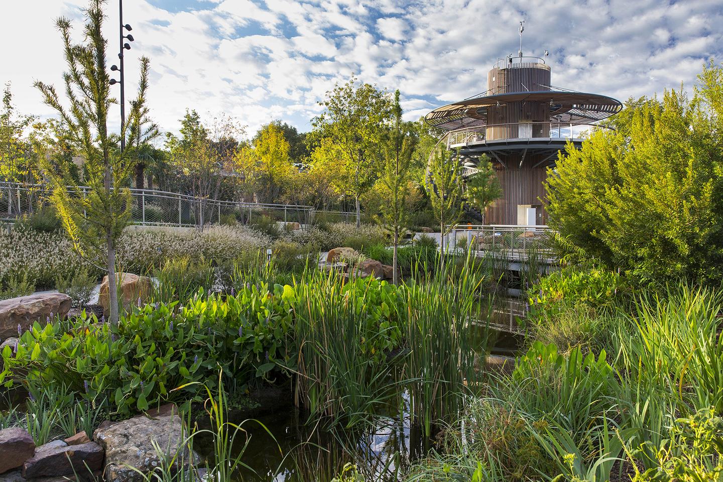 Rory Meyers Dallas Arboretum Children's Garden Projects & Portfolio BrightView